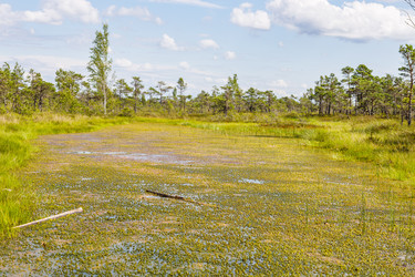 Similar image 21154378