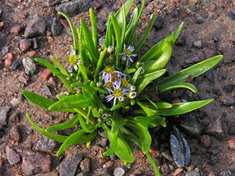 Similar image 21149690