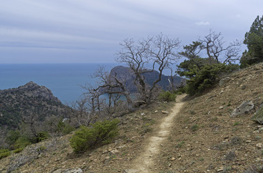 Similar image 21149692