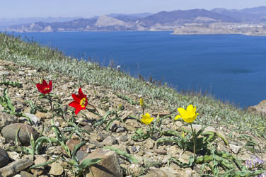 Similar image 21149697