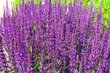 Similar image 21149705