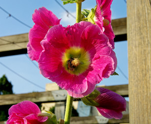 Similar image 21149707