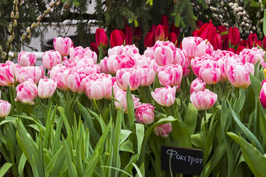 Similar image 21149708