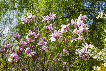 Similar image 21149709