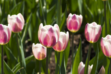 Similar image 21149710