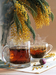 Similar image 21150285