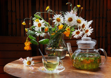 Similar image 21180582