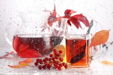 Similar image 21150295