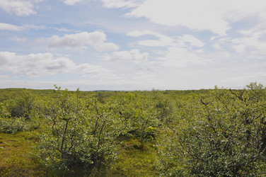 Similar image 21154045