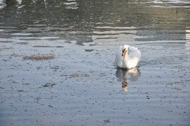 Similar image 21154048