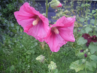 Similar image 21154049