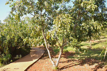 Similar image 21154051