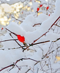 Similar image 21154238