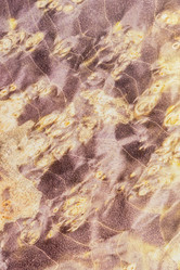 Similar image 21149332