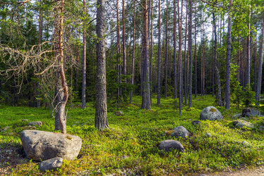 Similar image 21151931