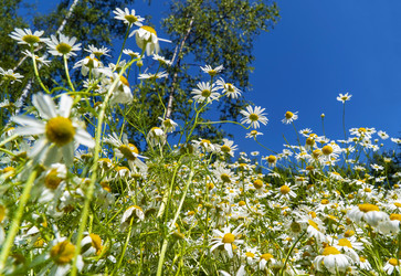 Similar image 21151966