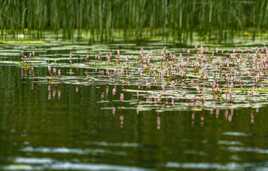 Similar image 21151967