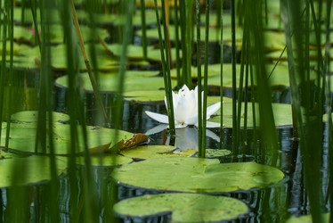 Similar image 21151973