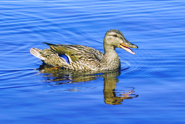 Similar image 21151976