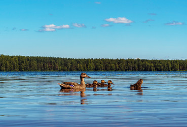 Similar image 21151978