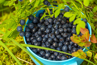 Similar image 21156594