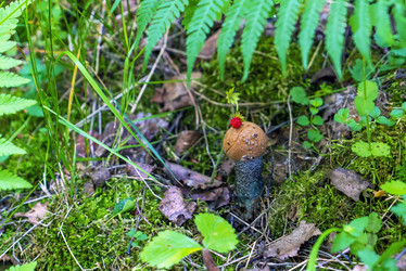 Similar image 21156598