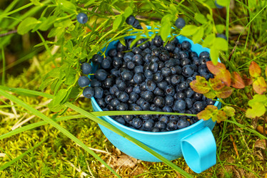 Similar image 21156602