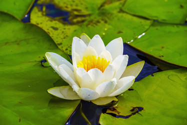 Similar image 21156604