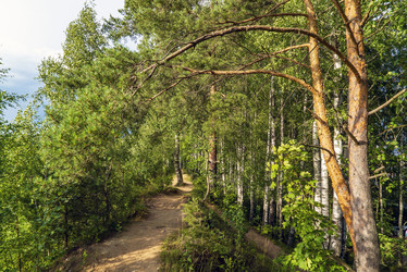 Similar image 21156609