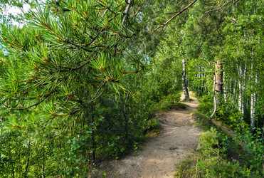 Similar image 21156613