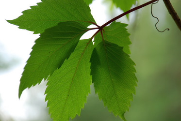 Similar image 21174996