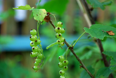 Similar image 21174997