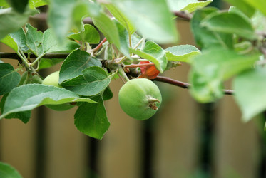 Similar image 21174998