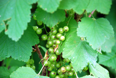 Similar image 21175505