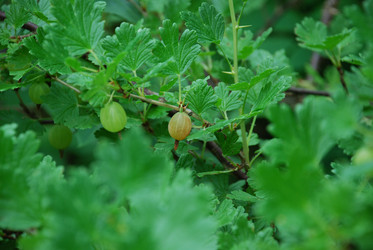 Similar image 21175507