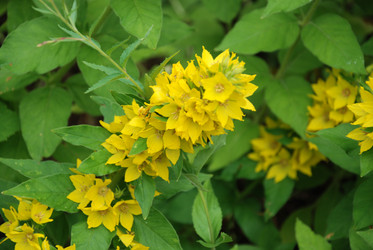 Similar image 21175508