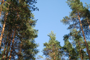 Similar image 21154385