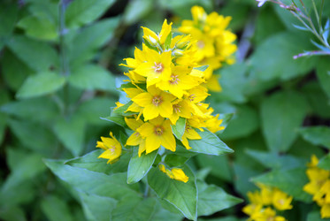 Similar image 21175543