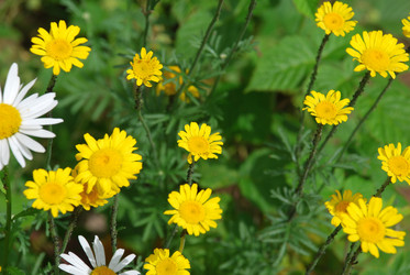 Similar image 21175544