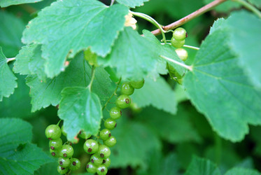 Similar image 21175545