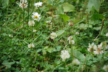 Similar image 21175546