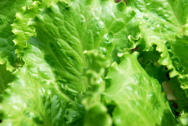 Similar image 21175547