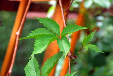 Similar image 21175548