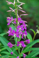 Similar image 21175550