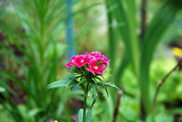 Similar image 21175583