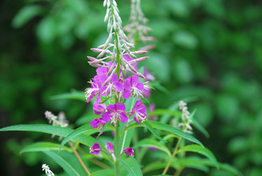 Similar image 21175586