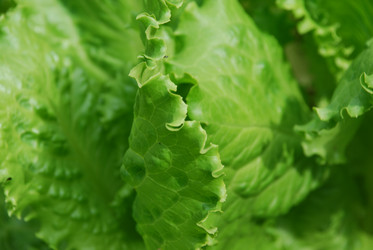 Similar image 21175587