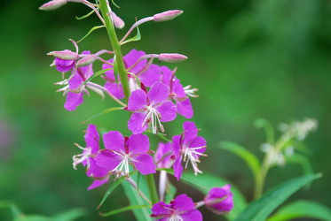 Similar image 21175588