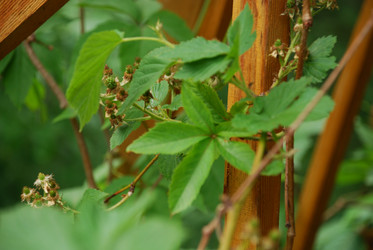 Similar image 21175589