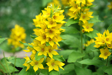 Similar image 21175590